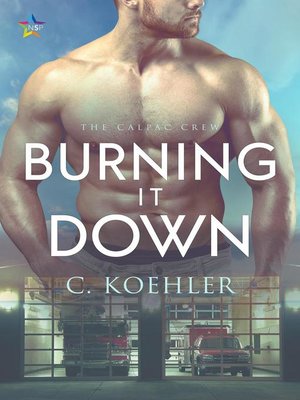 cover image of Burning It Down